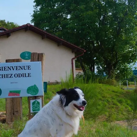 Bed & Breakfast D'hote Odile Et Les Cycleux Tillie Docelles
