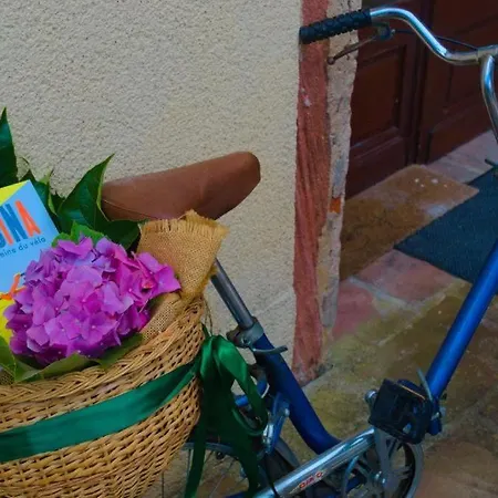 D'hote Odile Et Les Cycleux Tillie 3* Docelles