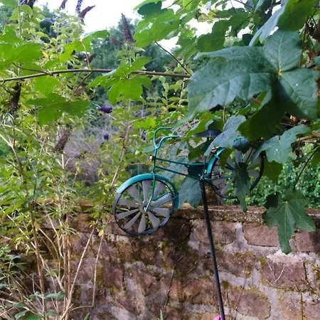 D'hote Odile Et Les Cycleux Tillie Bed & Breakfast 3*