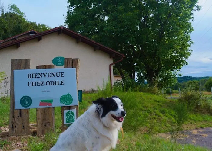 Bed & Breakfast D'hote Odile Et Les Cycleux Tillie Docelles