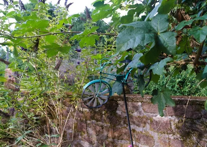 D'hote Odile Et Les Cycleux Tillie Bed & Breakfast 3*