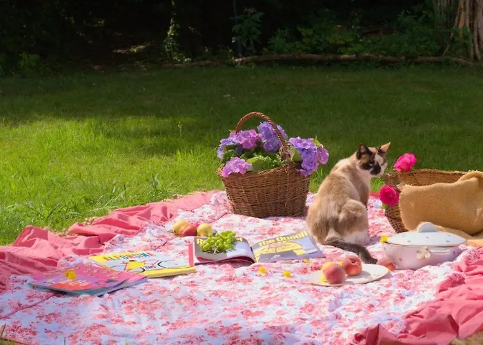 Bed & Breakfast D'hote Odile Et Les Cycleux Tillie Docelles